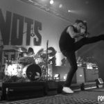 Bilder: Donots - FZW Dortmund