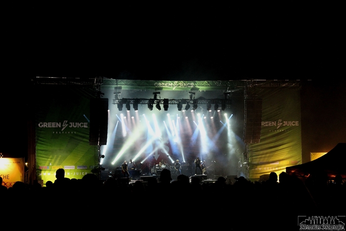 Green Juice _ Justin Herschfeld