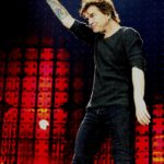 Bilder: Die Toten Hosen - Stadion Essen