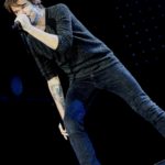 Bilder: Die Toten Hosen - Stadion Essen