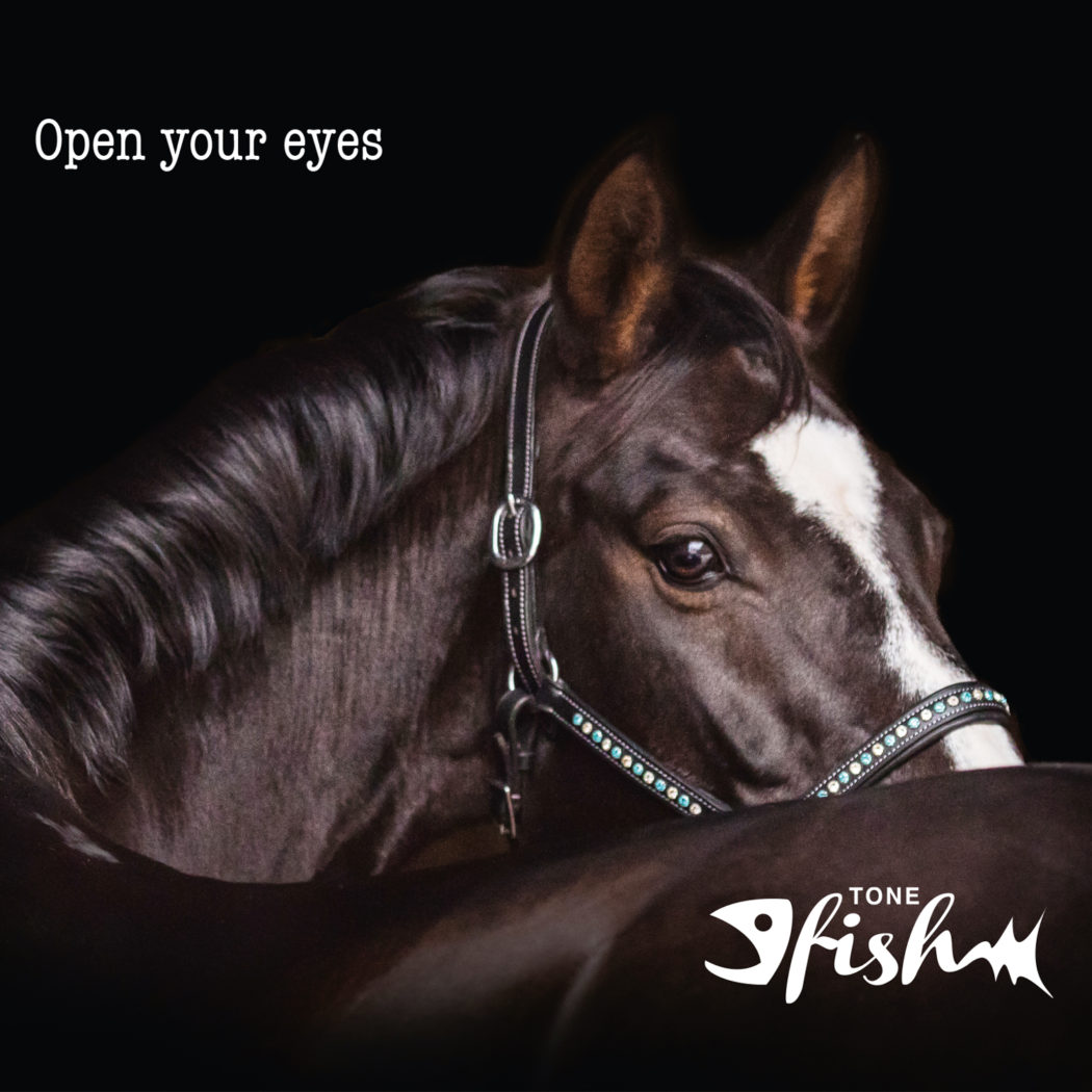 CD Tone Fish – Open your eyes