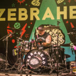 Fotos: Zebrahead – Brain Invaders - Hamburg, Markthalle