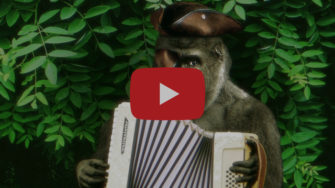 RUMAHOY veröffentlichen Harambe The Pirate Gorilla