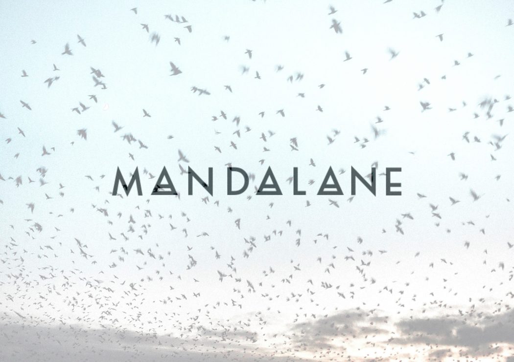 109714143_2607507029512547_1978209646929193429_o