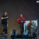 Picknick Konzert Antilopen Gang & Fatoni + Edgar Wasser in Dresden - Fotos