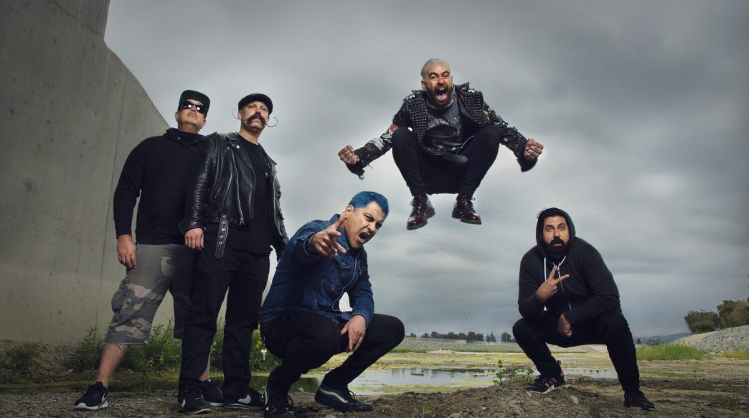 Zebrahead