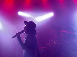 Set your Sails und Rising Insane im Z-Bau, Nürnberg - Review