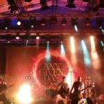 Moos Meadow Festival 2024: Der Samstag - Unser Fazit