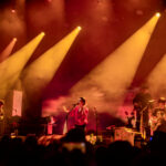 The Rose in Berlin – Fotos