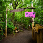 Wilwarin Festival 2025 - Review und Galerie