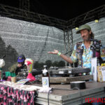 Wilwarin Festival 2025 - Review und Galerie
