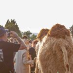 OPEN FLAIR FESTIVAL 2025 - Fotos & Review