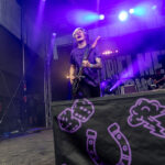 Pell Mell Festival 2025 - Fotos