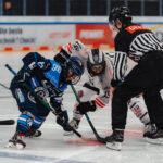 HK Budapest holt den Sieg beim EWHL Euro Cup Final Four in Ingolstadt!