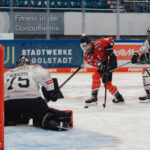 HK Budapest holt den Sieg beim EWHL Euro Cup Final Four in Ingolstadt!
