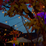 So war das Nürnberg Pop Festival 2025