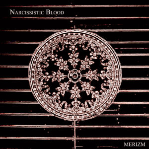 MERIZM mit neuer Power-Single "Narcissistic Blood"
