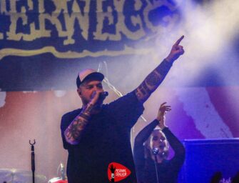 Butterwegge mit neuer Single „Koffer voller Liebe“