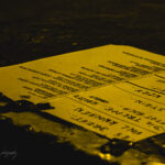 Coppelius - Moshpit Theater 2026 - Fotos Coppelius - Moshpit Theater 2026 - Fotos