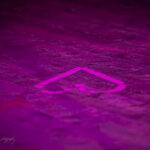 TRIPKID - MINDFCK TOUR 2026 - Fotos