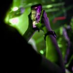 Schattenmann Endgegner Tour - Review aus Hamburg Schattenmann Endgegner Tour - Review aus Hamburg