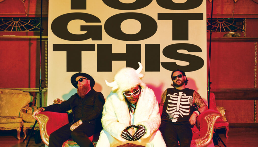 Review: SKINDRED - You Got This