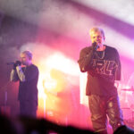 From Fall to Spring im Rosenhof Osnabr&uuml;ck - Fotos