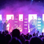 From Fall to Spring im Rosenhof Osnabr&uuml;ck - Fotos