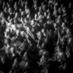 FJØRT's Tour-Showdown in Köln - Die Bilder des Abends FJØRT's Tour-Showdown in Köln - Die Bilder des Abends