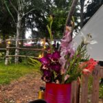 Das Homeward Festival