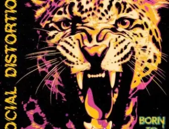 Review: Social Distortion – Born to Kill
