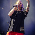 Review & Galerie: Madsen @ Stadtpark Open Air Hamburg