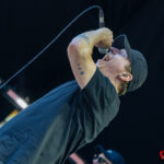 Tollrock Festival 2026 - Fotos