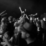 Free For All Festival Review Free For All Festival Review