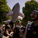 Free For All Festival Review Free For All Festival Review