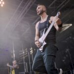 Free For All Festival Review Free For All Festival Review
