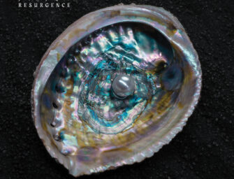 Review: „Resurgence“ von Future Palace