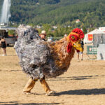 OPEN FLAIR FESTIVAL 2026 - Fotos & Review