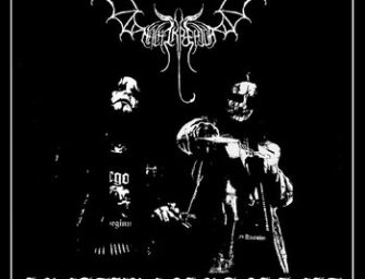 Review: Nachtkreatur – Kreaturenkrankheit
