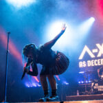 NEXUS Nerd Rock Festival 2026 - Fotos & Review